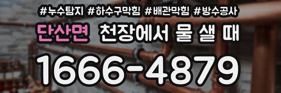 단산면 천장에서 물 샐 때