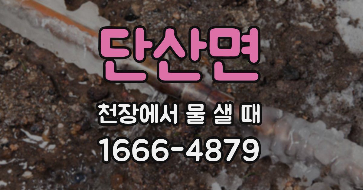 단산면 천장에서 물 샐 때