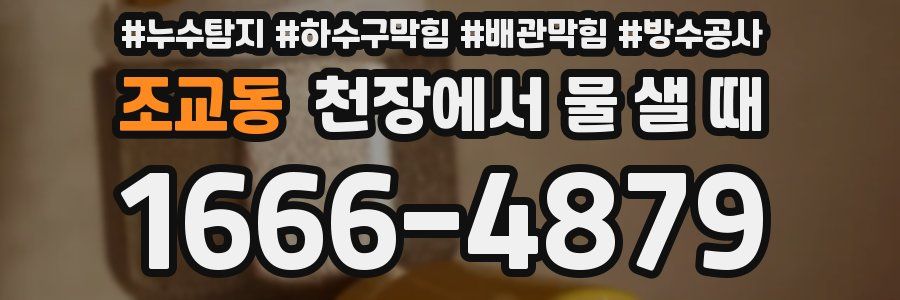 조교동 천장에서 물 샐 때