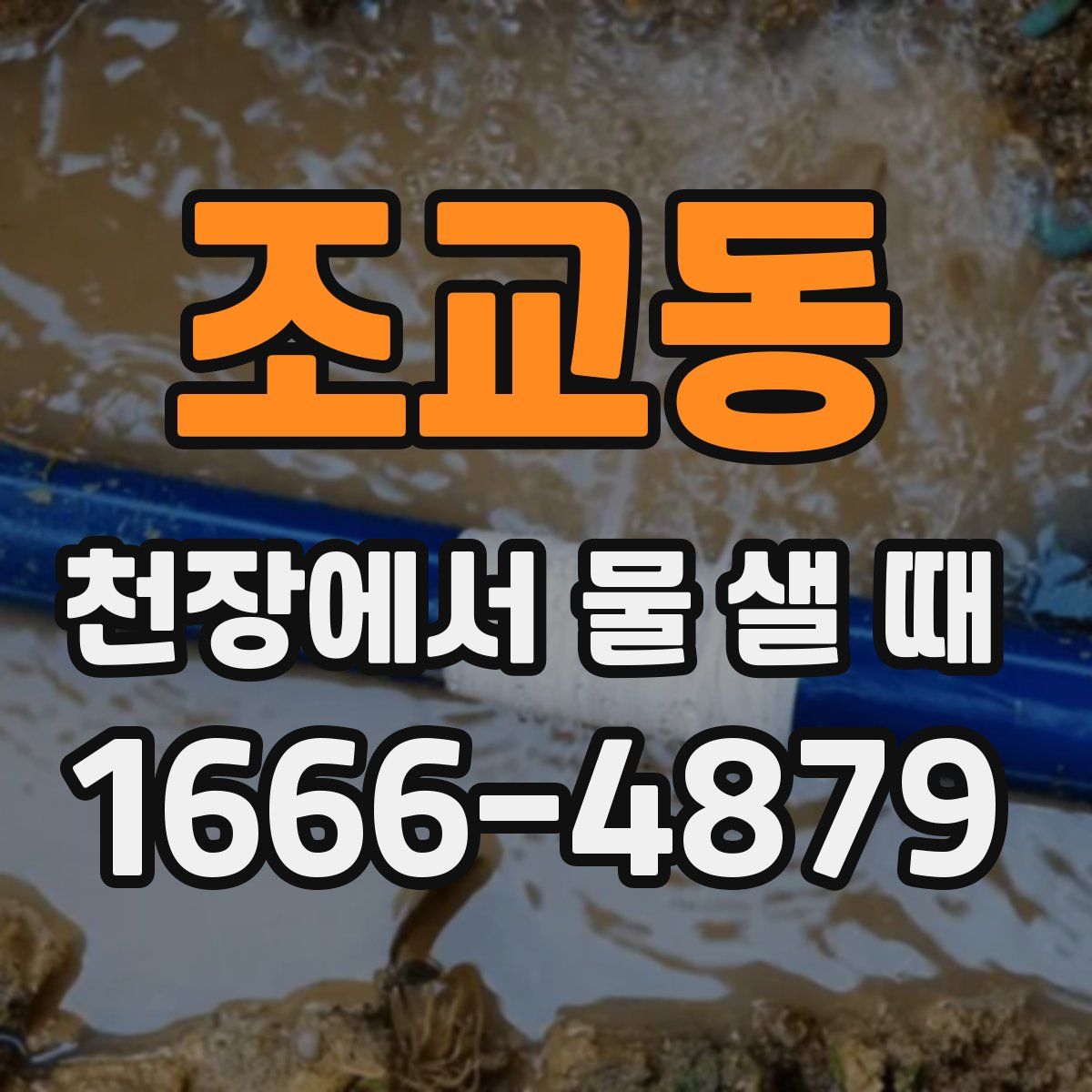 조교동 천장에서 물 샐 때