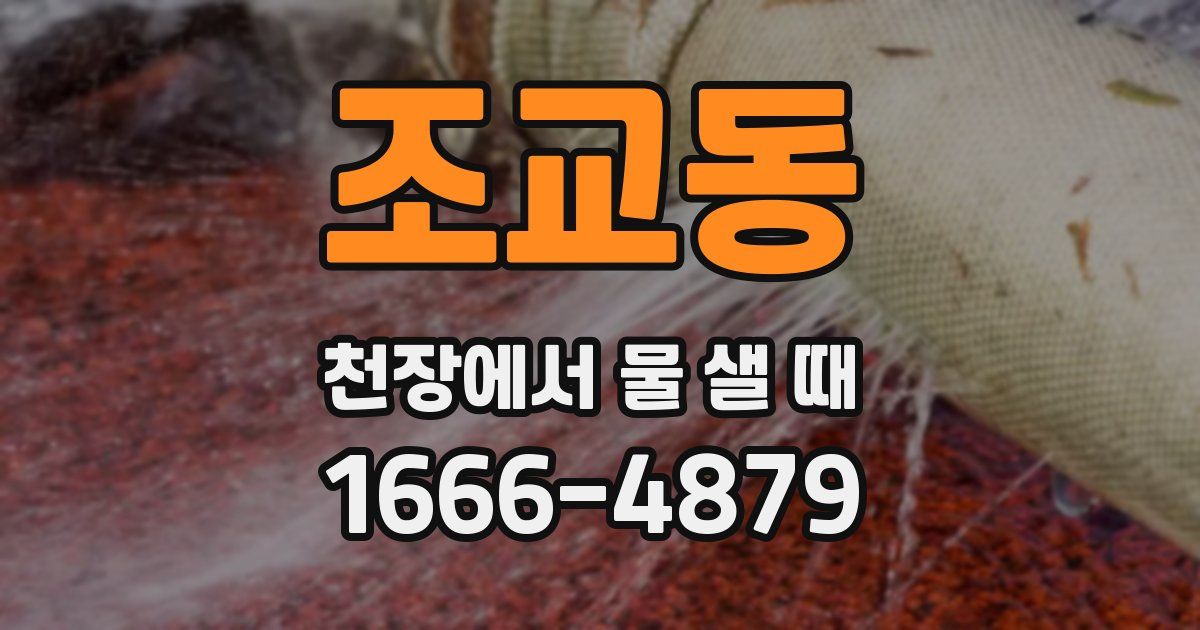 조교동 천장에서 물 샐 때