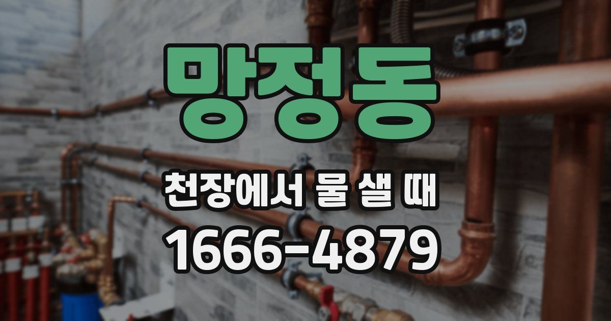 망정동 천장에서 물 샐 때
