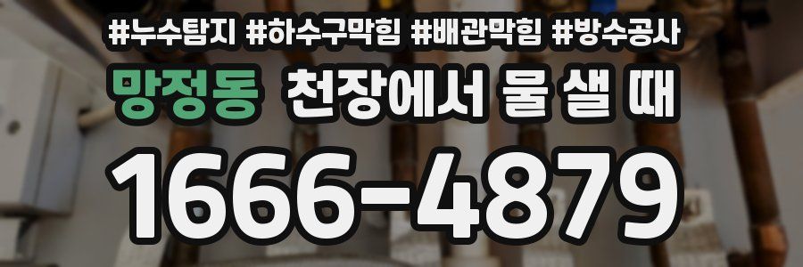 망정동 천장에서 물 샐 때