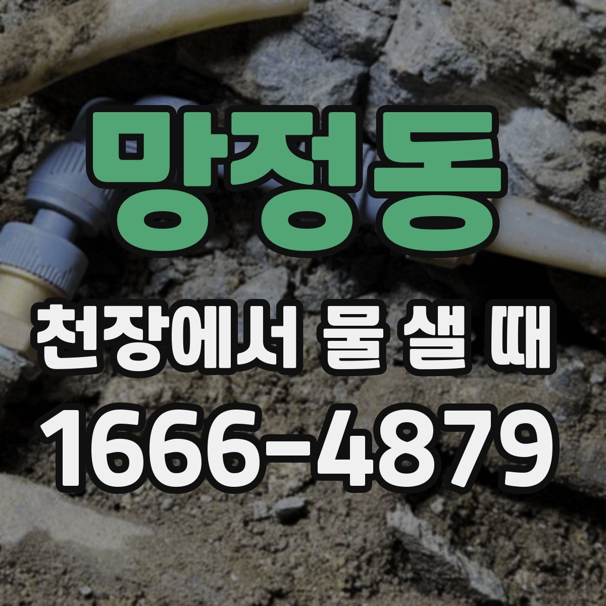 망정동 천장에서 물 샐 때