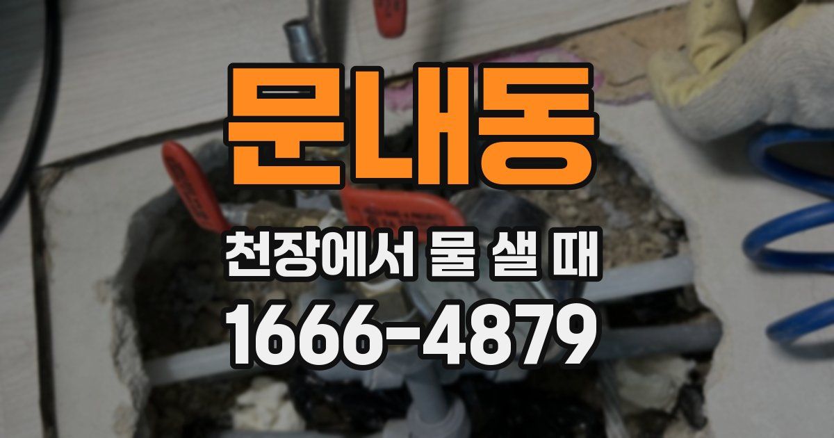 문내동 천장에서 물 샐 때