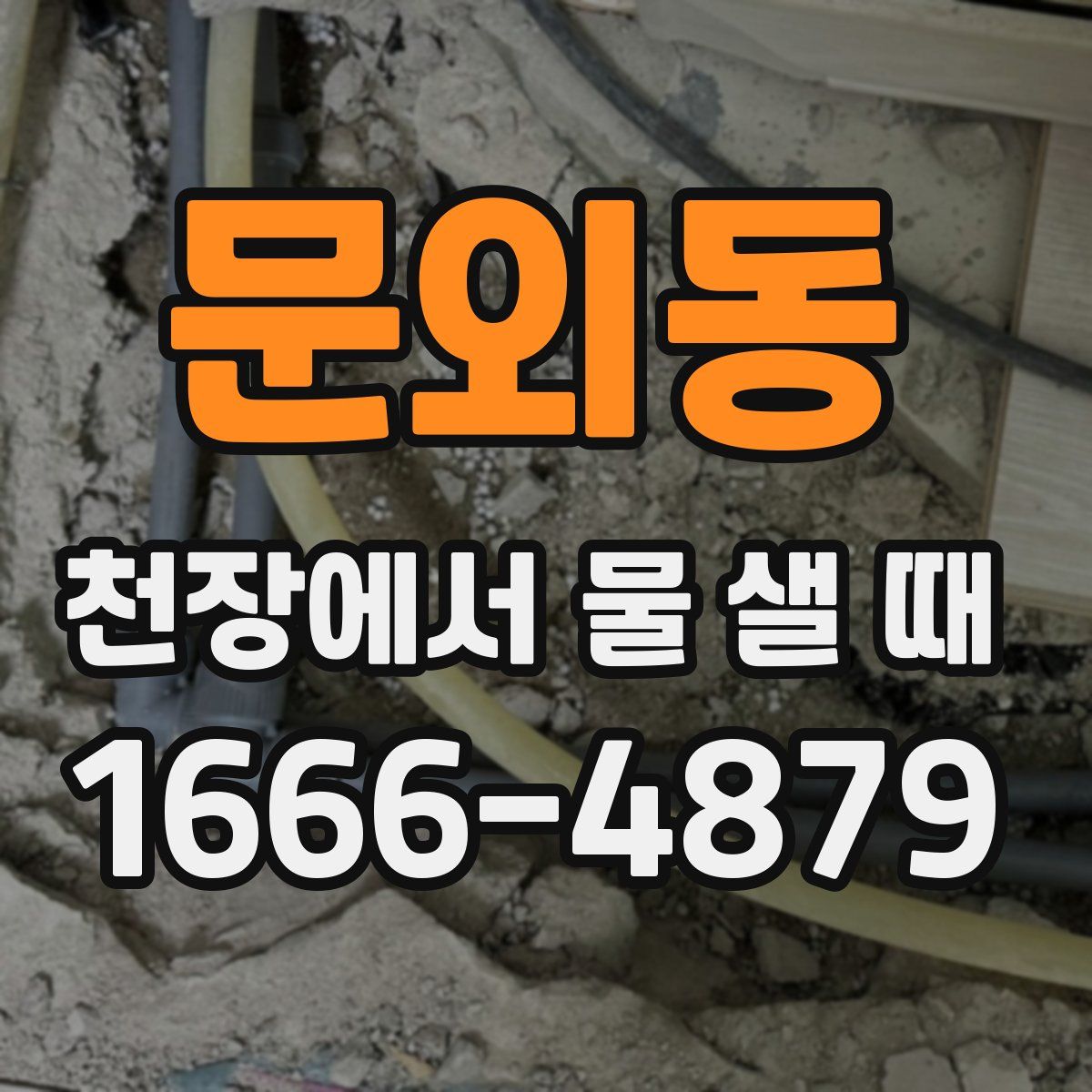 문외동 천장에서 물 샐 때