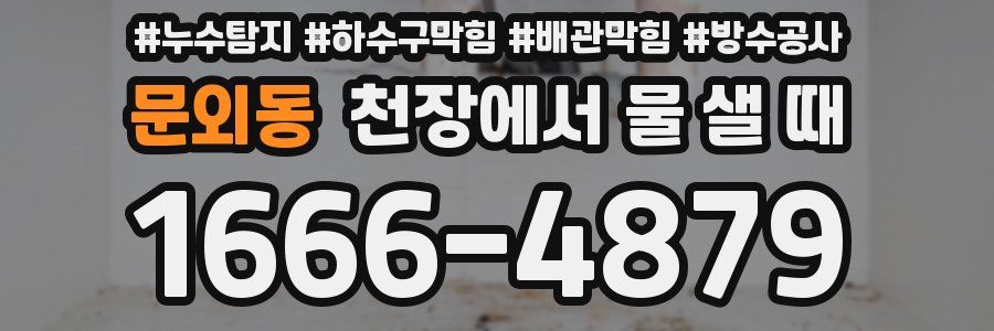 문외동 천장에서 물 샐 때