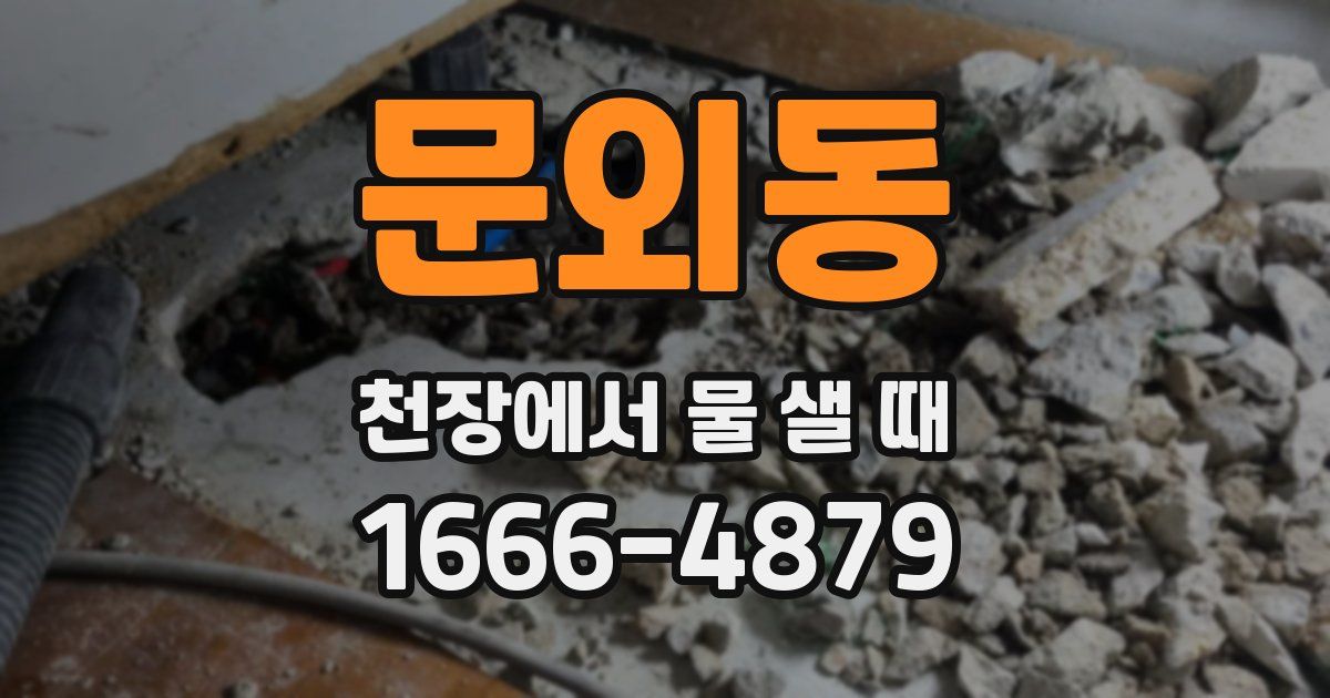 문외동 천장에서 물 샐 때