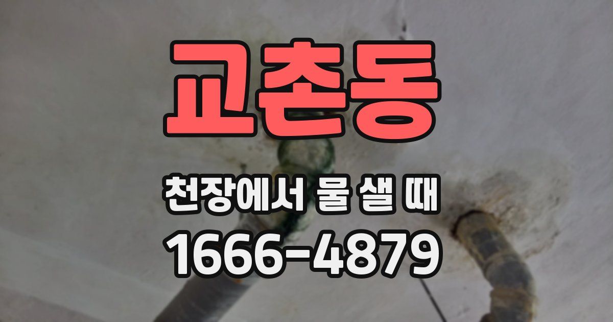 교촌동 천장에서 물 샐 때