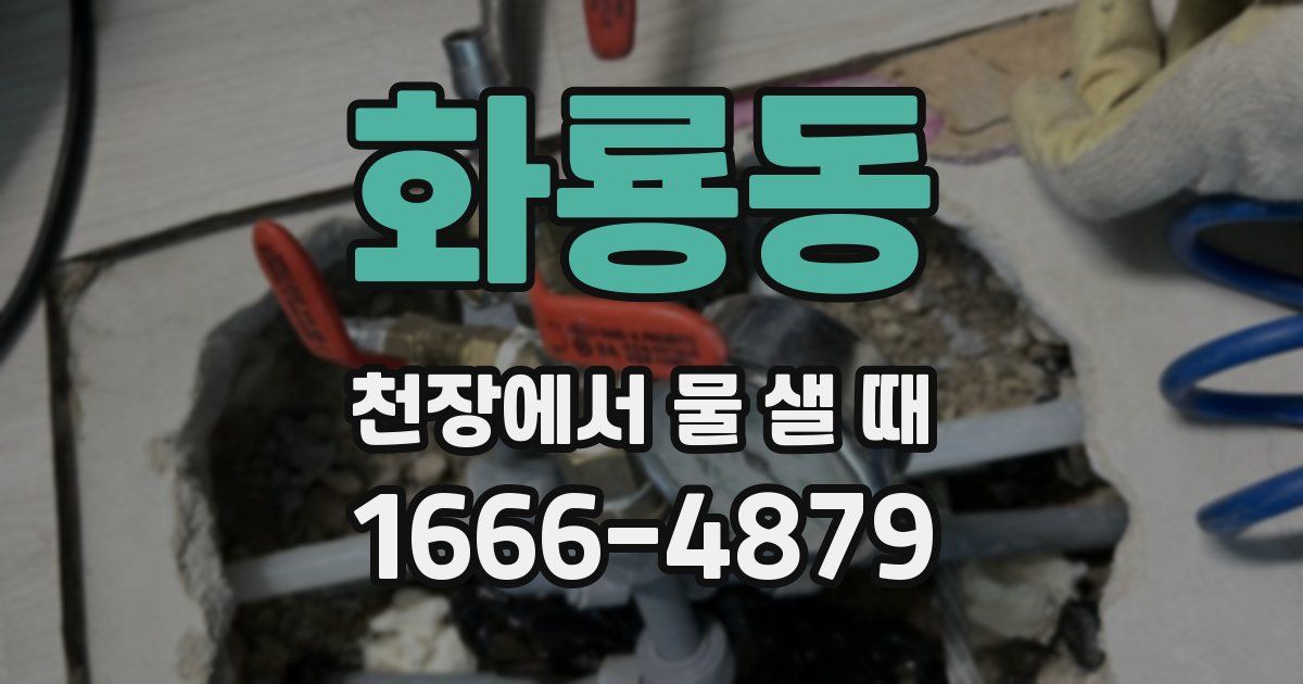 화룡동 천장에서 물 샐 때