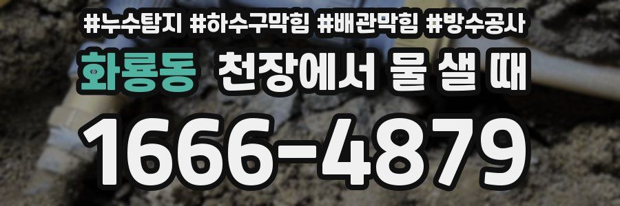 화룡동 천장에서 물 샐 때