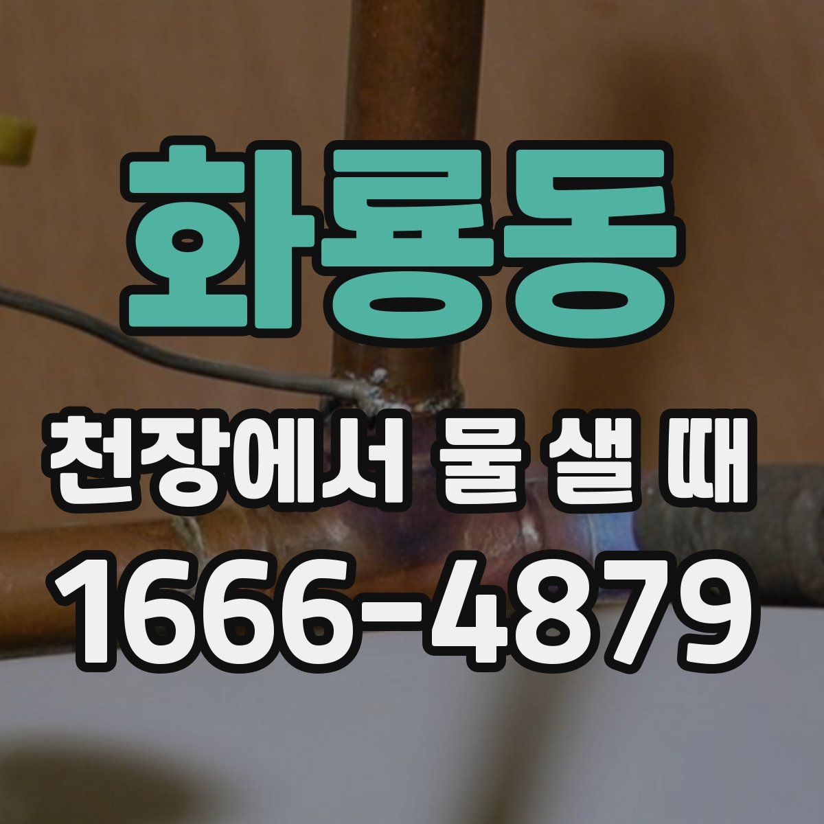 화룡동 천장에서 물 샐 때