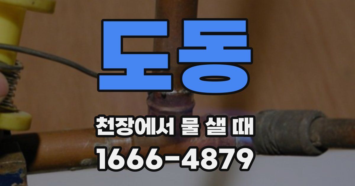 도동 천장에서 물 샐 때