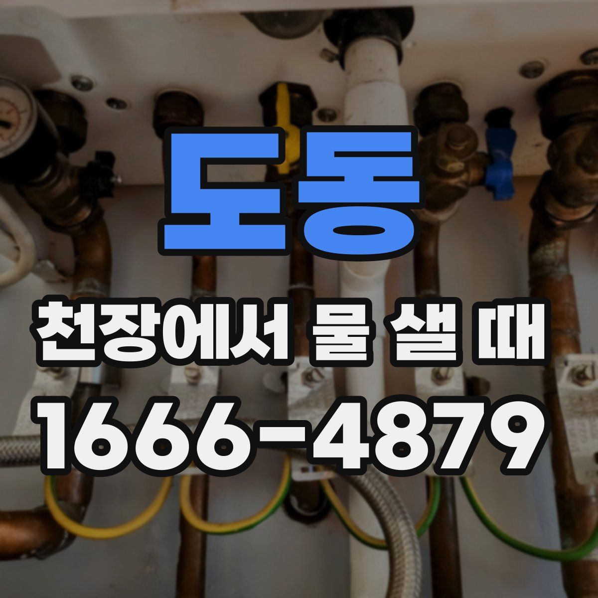 도동 천장에서 물 샐 때