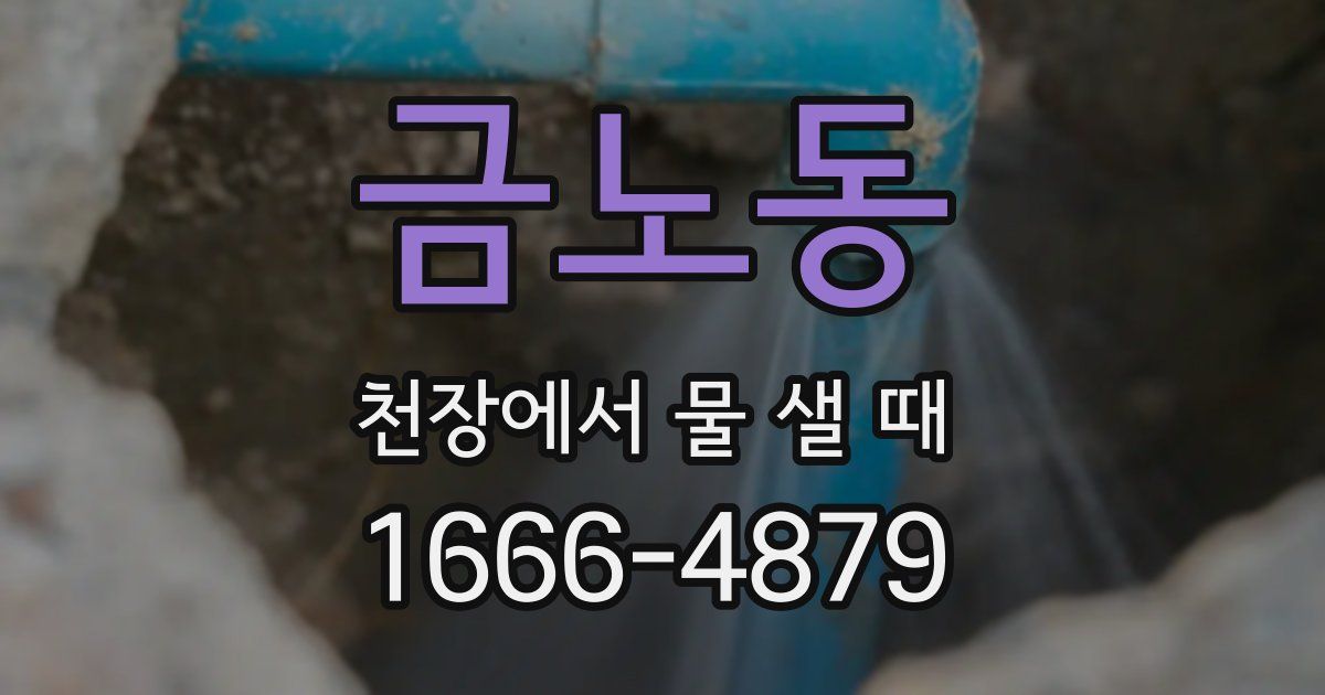 금노동 천장에서 물 샐 때