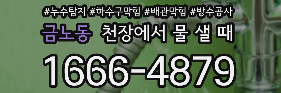 금노동 천장에서 물 샐 때