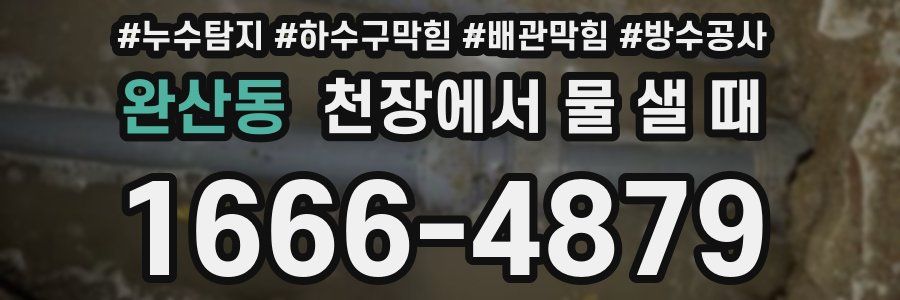 완산동 천장에서 물 샐 때