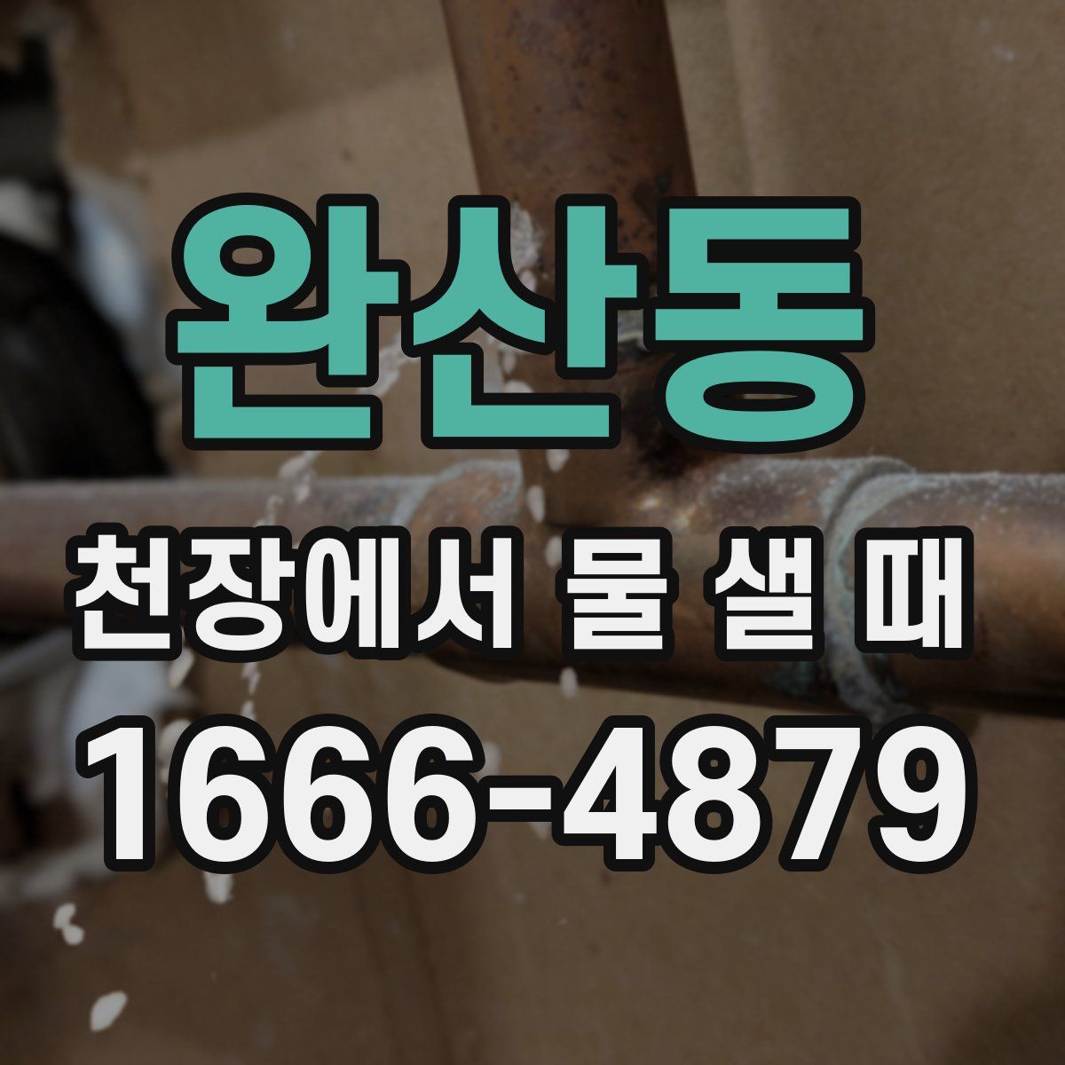완산동 천장에서 물 샐 때