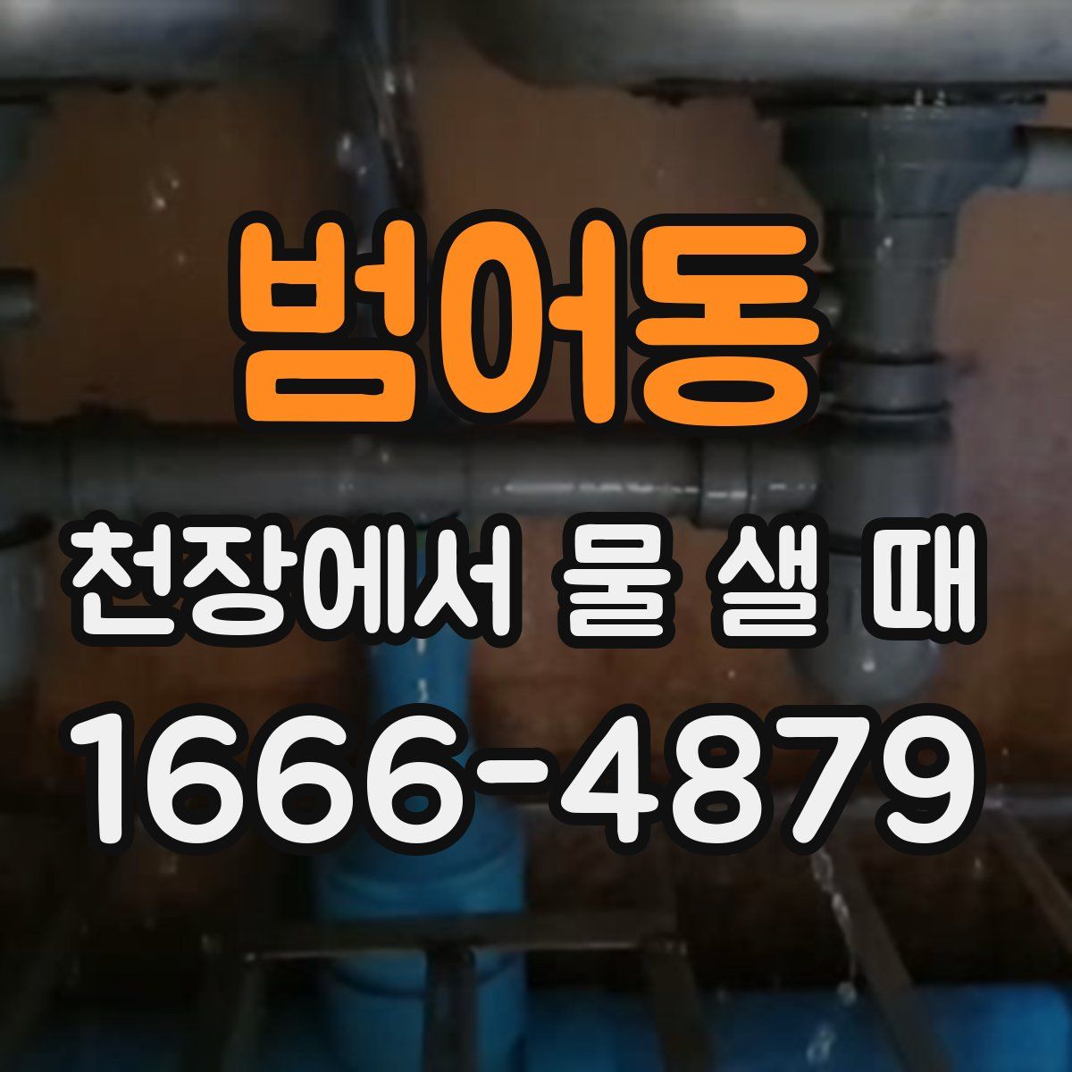 범어동 천장에서 물 샐 때