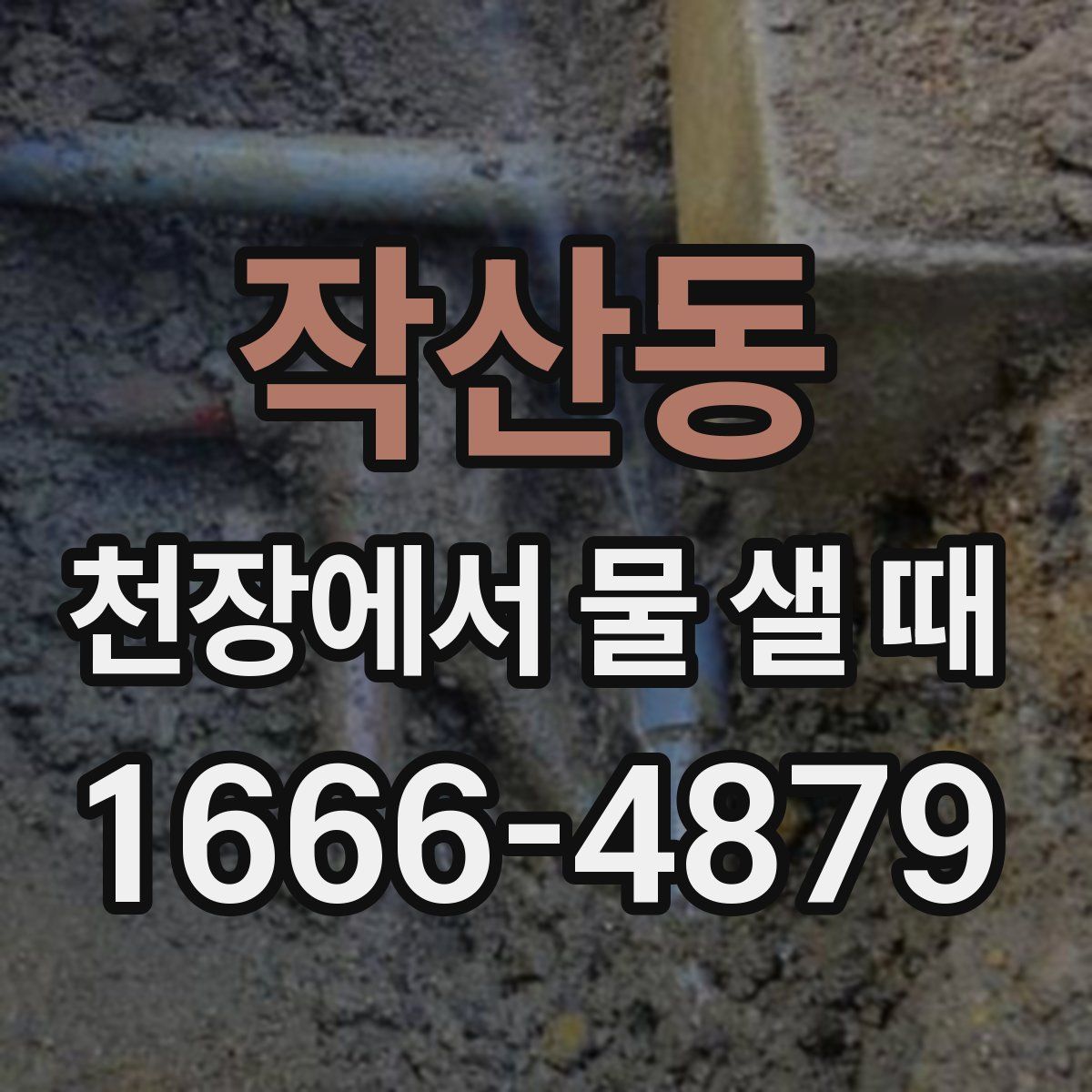 작산동 천장에서 물 샐 때
