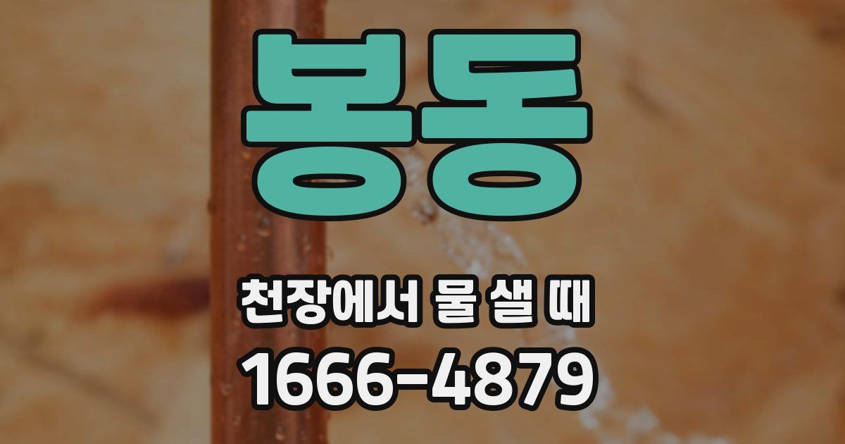 봉동 천장에서 물 샐 때