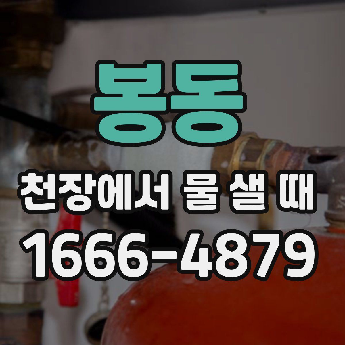 봉동 천장에서 물 샐 때