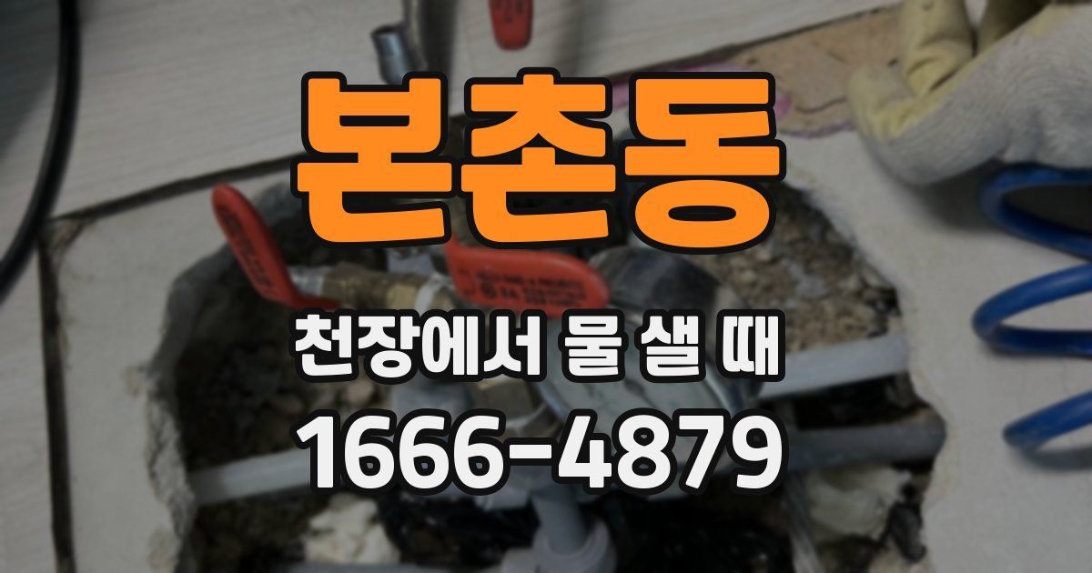 본촌동 천장에서 물 샐 때