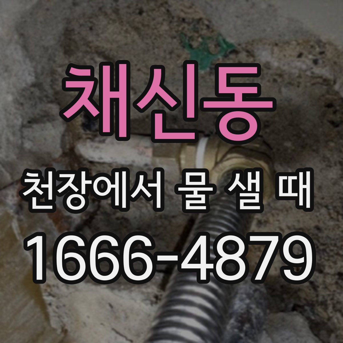 채신동 천장에서 물 샐 때