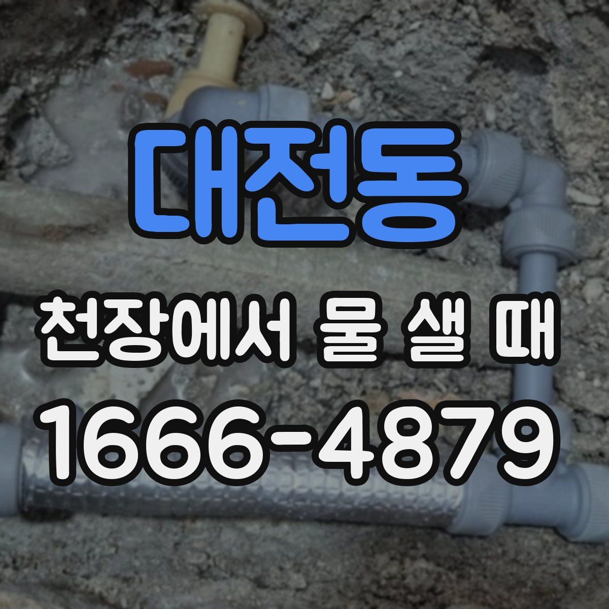 대전동 천장에서 물 샐 때