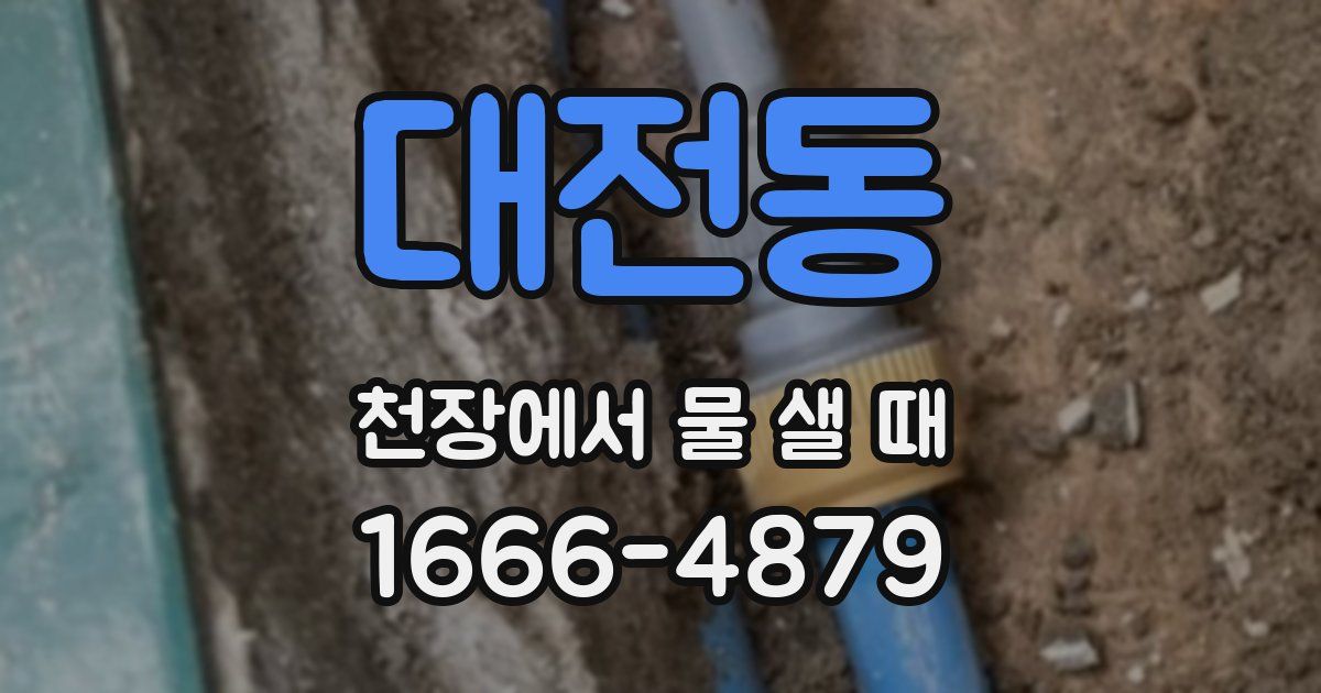 대전동 천장에서 물 샐 때