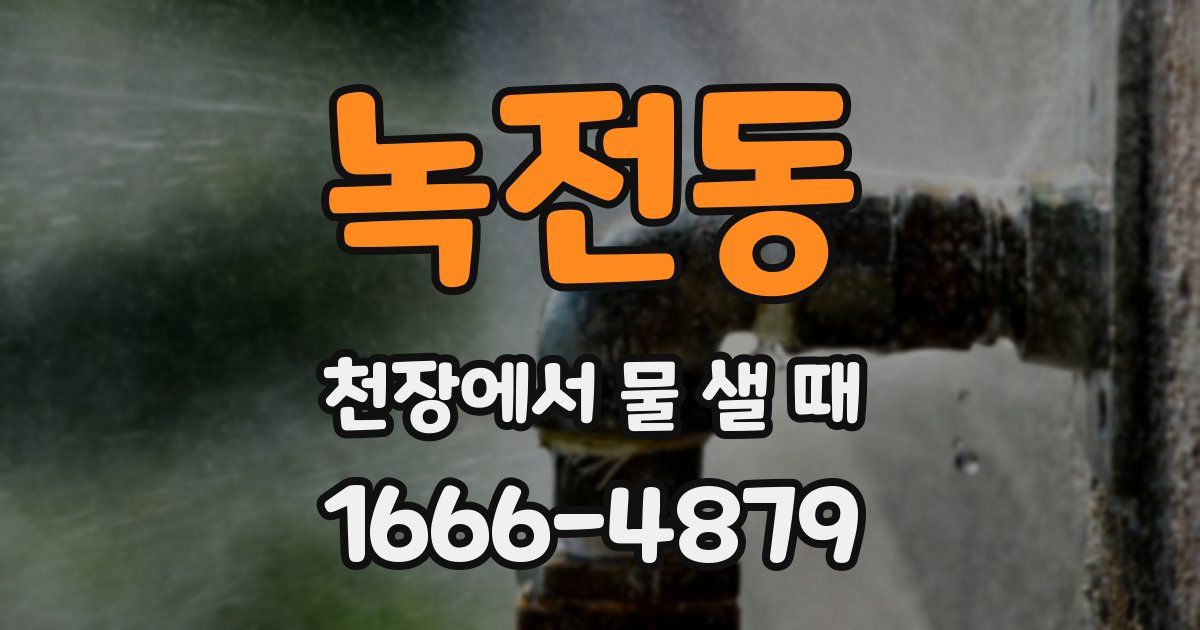 녹전동 천장에서 물 샐 때