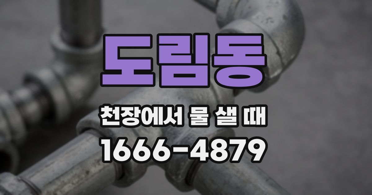 도림동 천장에서 물 샐 때
