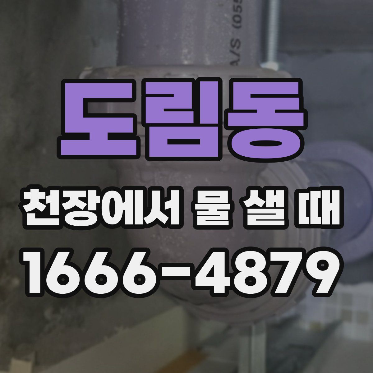 도림동 천장에서 물 샐 때