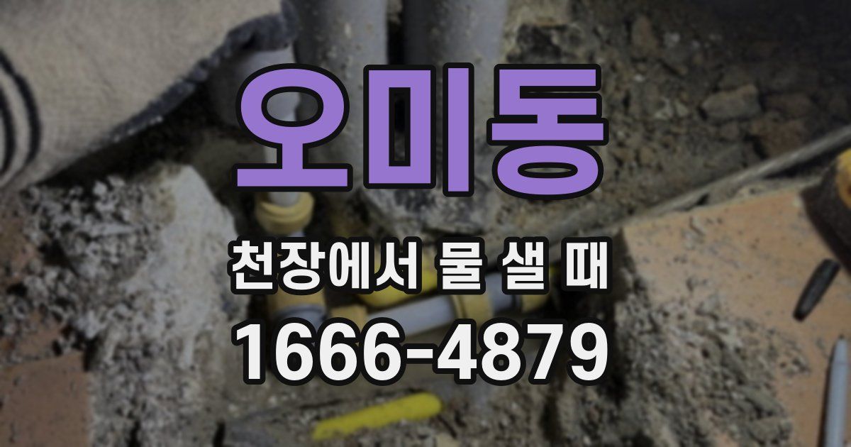 오미동 천장에서 물 샐 때