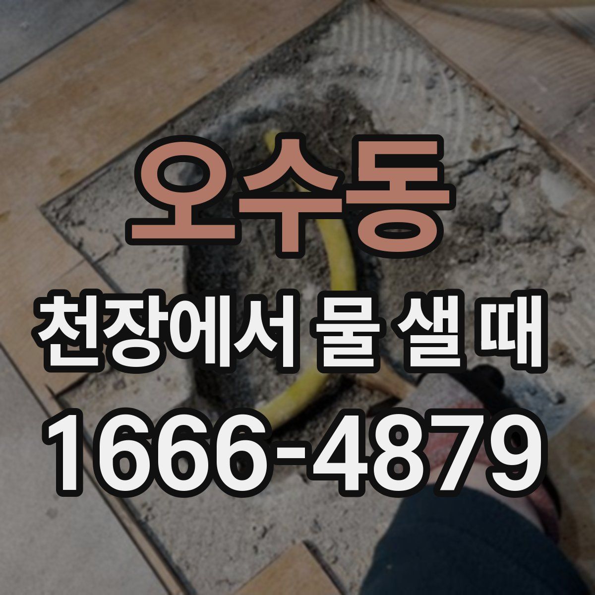 오수동 천장에서 물 샐 때