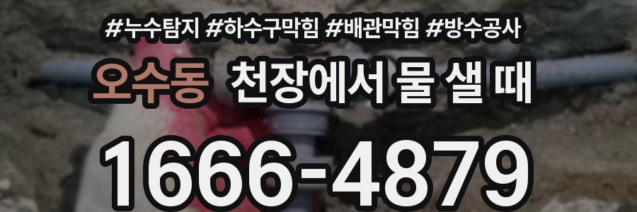 오수동 천장에서 물 샐 때