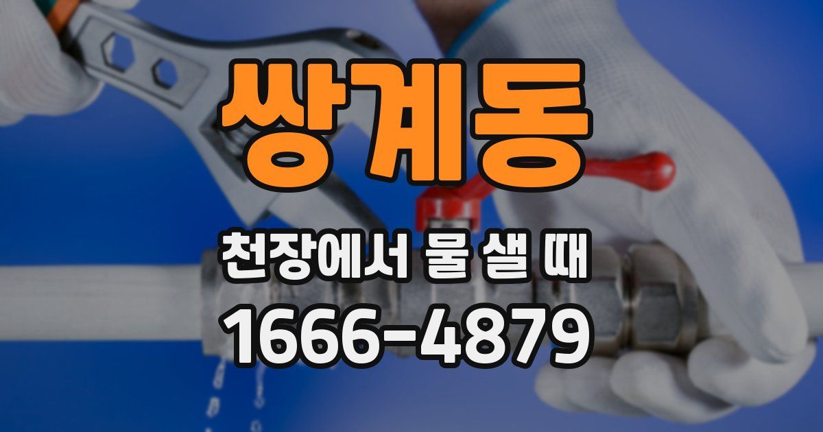 쌍계동 천장에서 물 샐 때