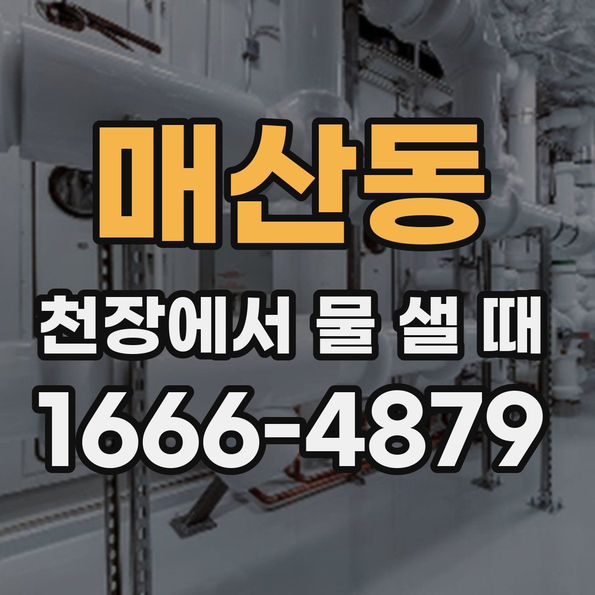 매산동 천장에서 물 샐 때