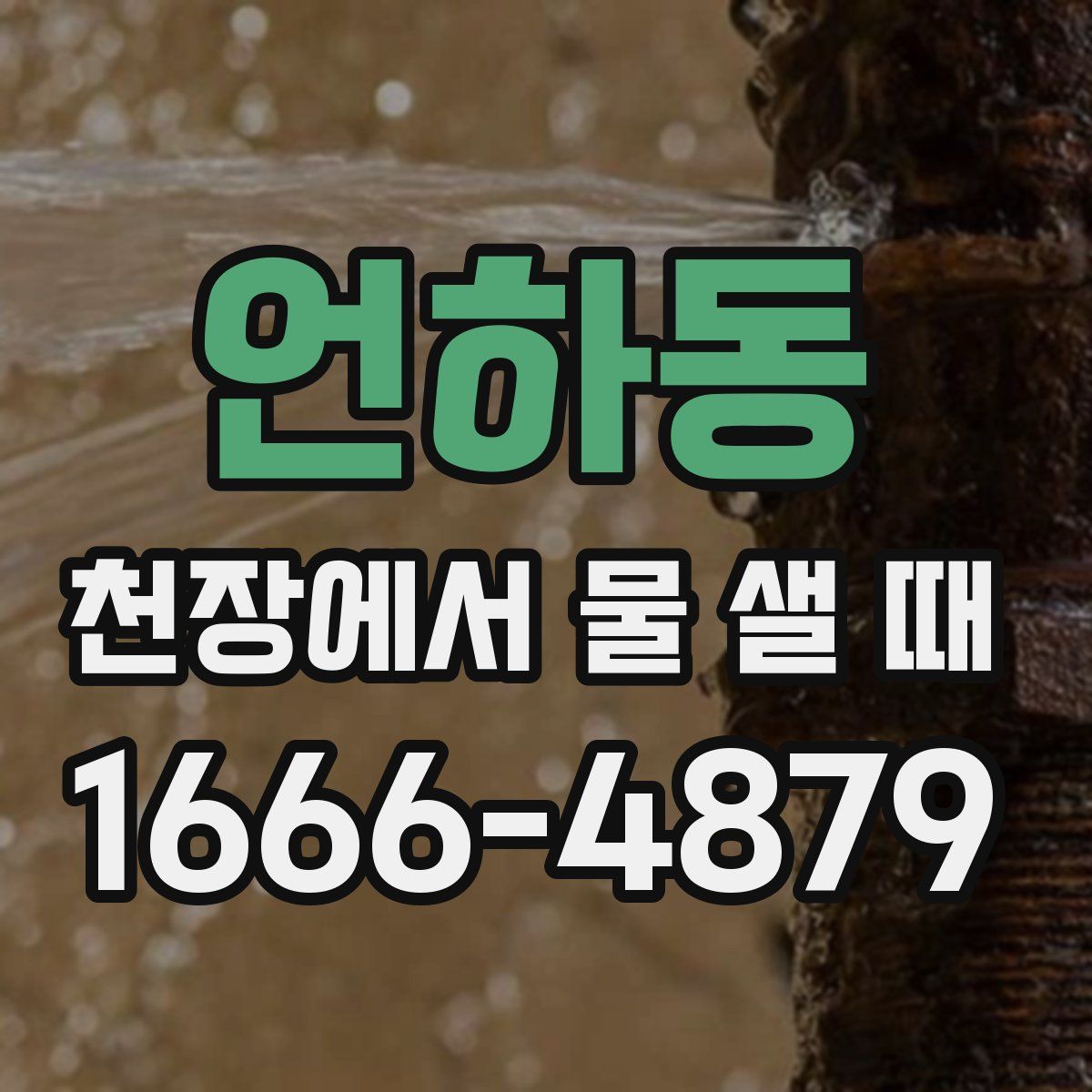 언하동 천장에서 물 샐 때