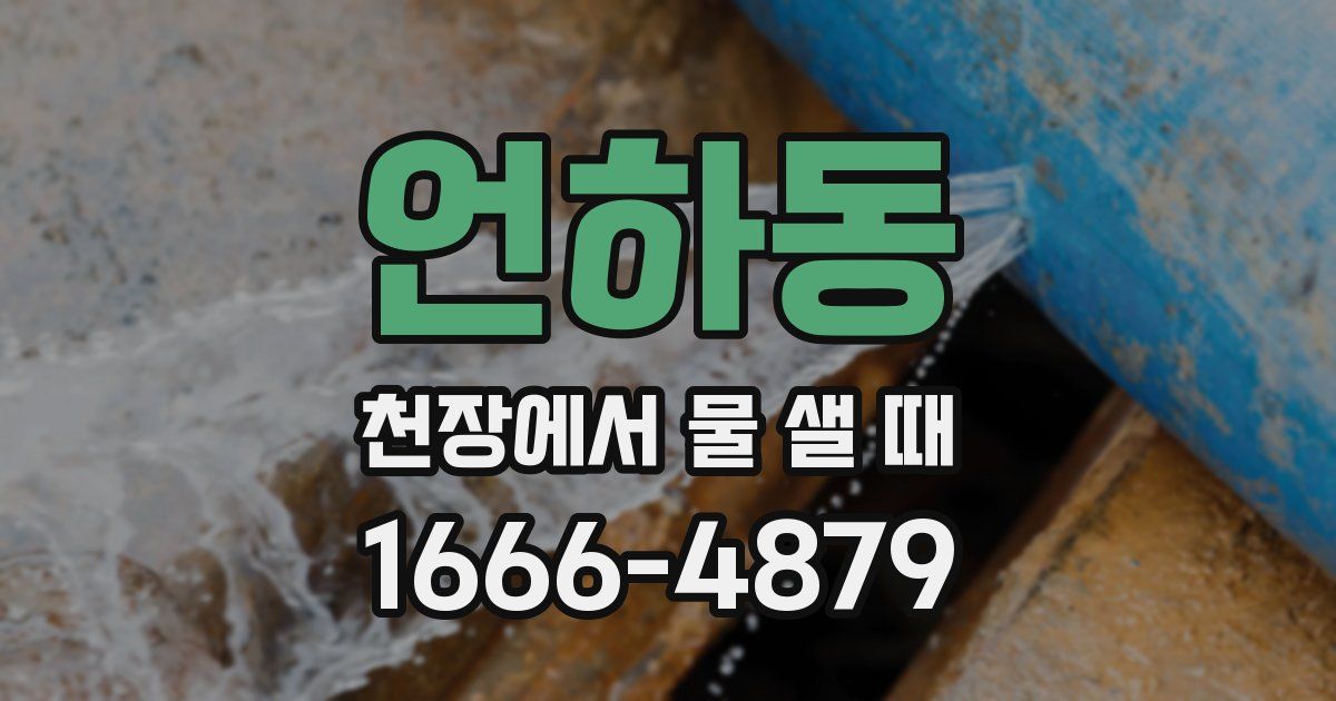 언하동 천장에서 물 샐 때
