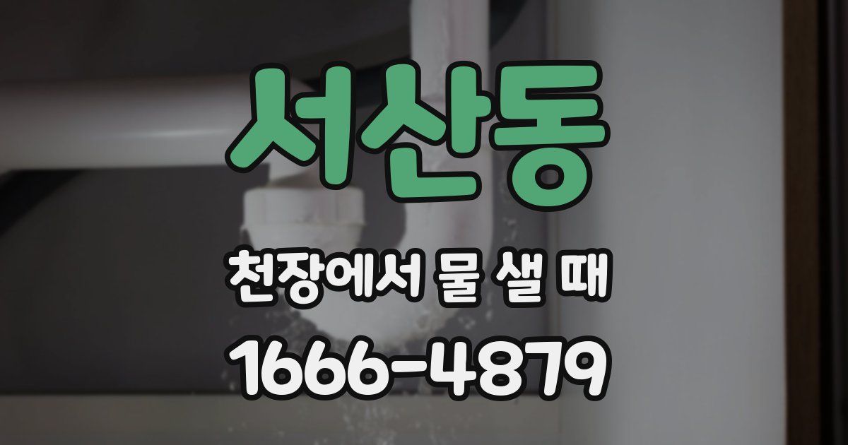 서산동 천장에서 물 샐 때