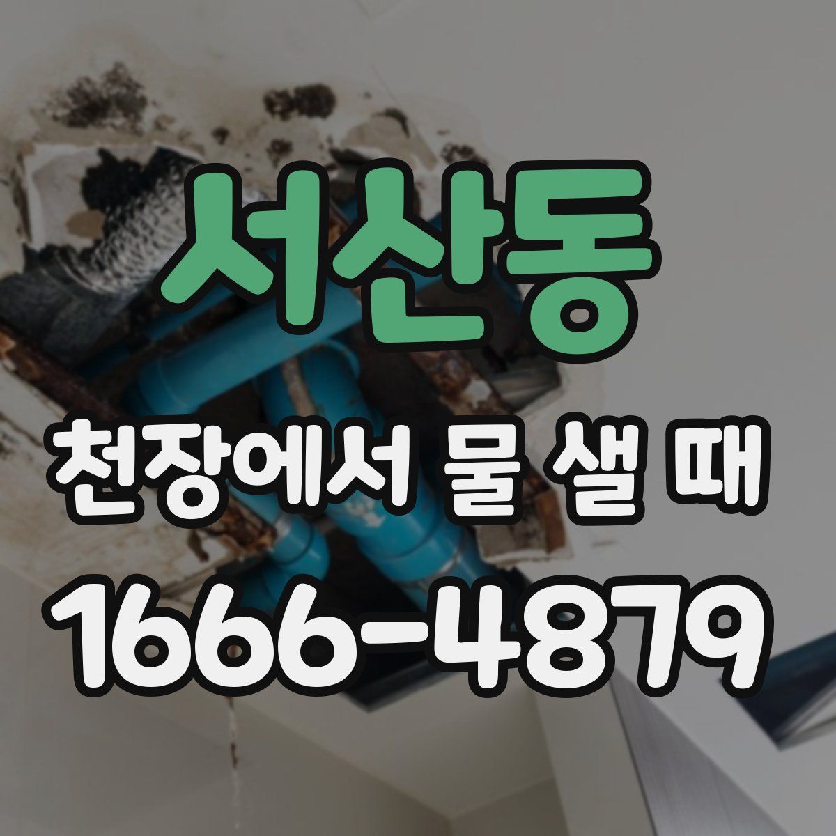 서산동 천장에서 물 샐 때