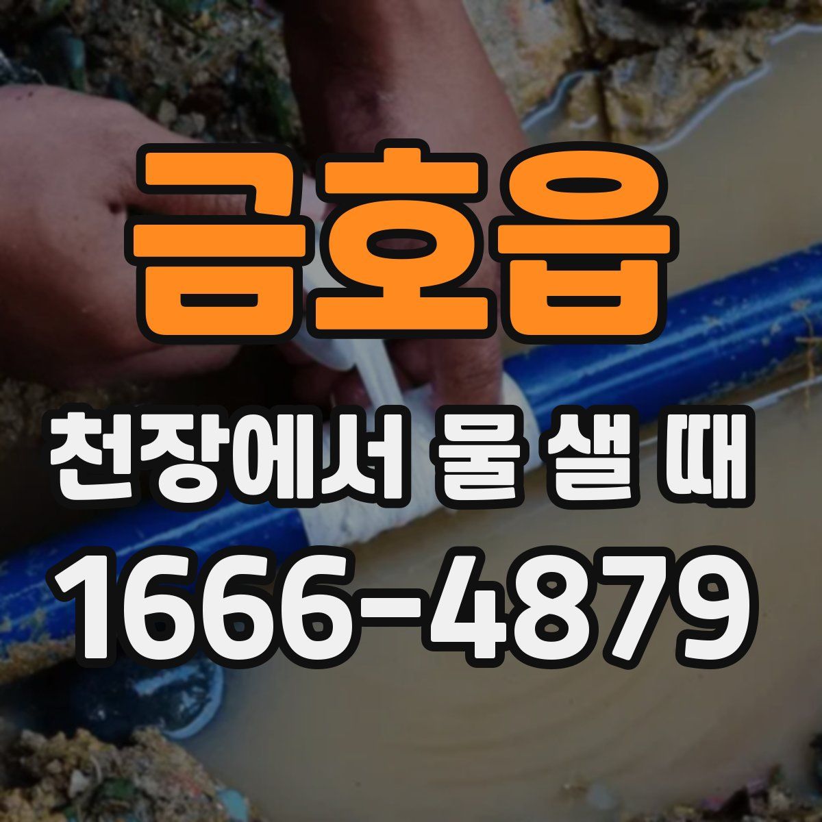 금호읍 천장에서 물 샐 때