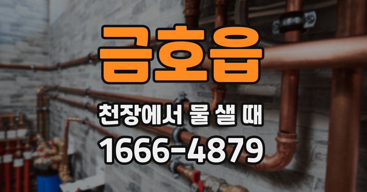 금호읍 천장에서 물 샐 때