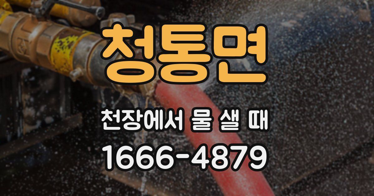 청통면 천장에서 물 샐 때