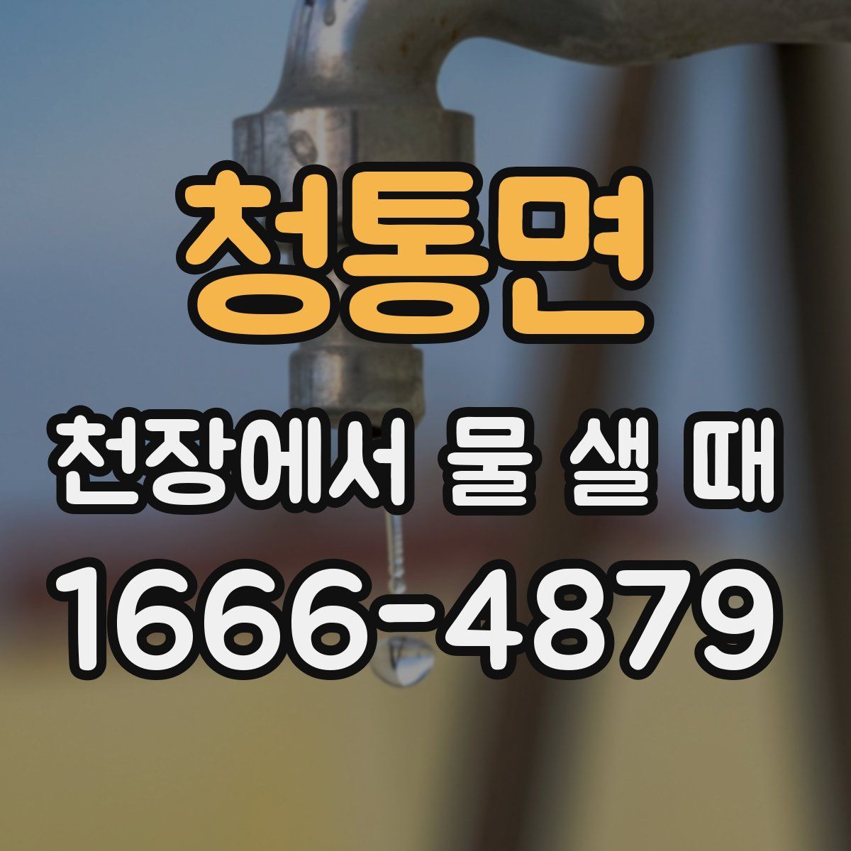 청통면 천장에서 물 샐 때