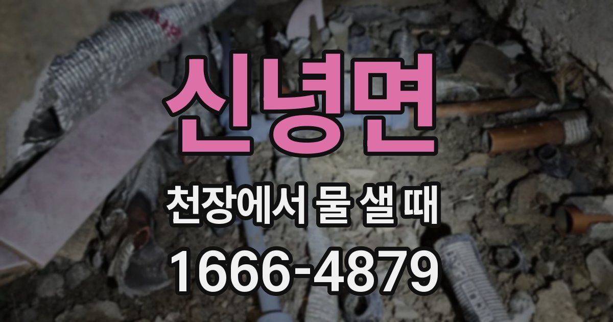 신녕면 천장에서 물 샐 때