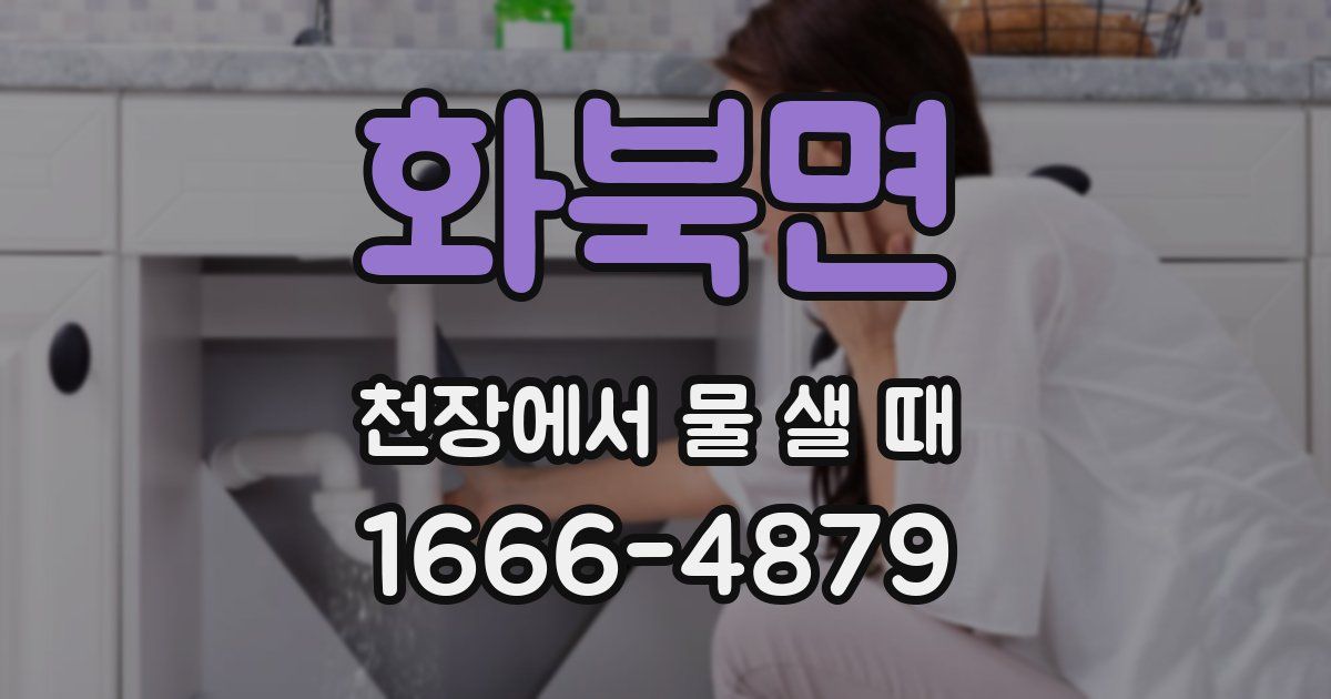 화북면 천장에서 물 샐 때