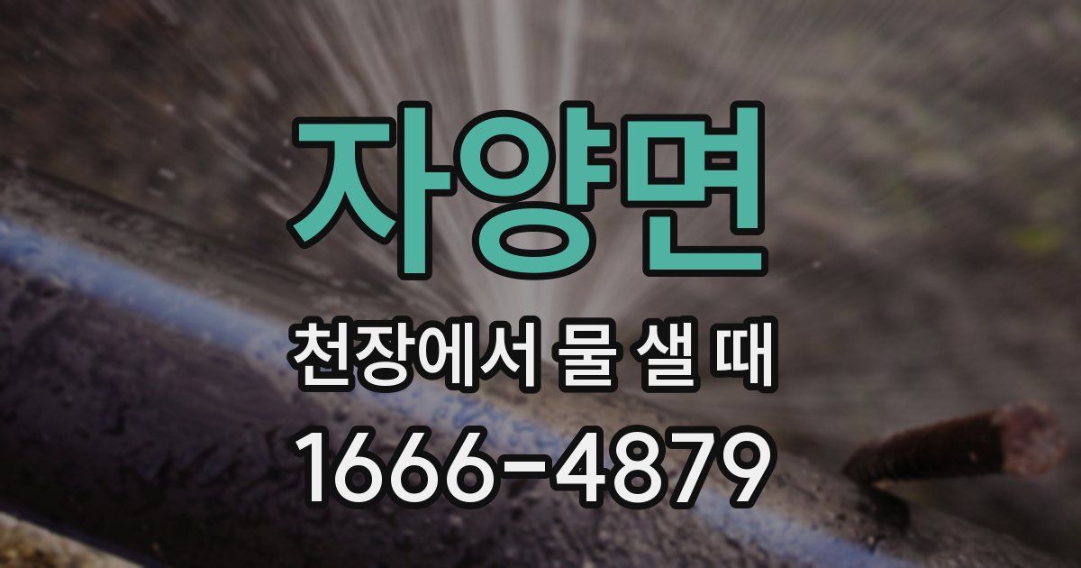 자양면 천장에서 물 샐 때