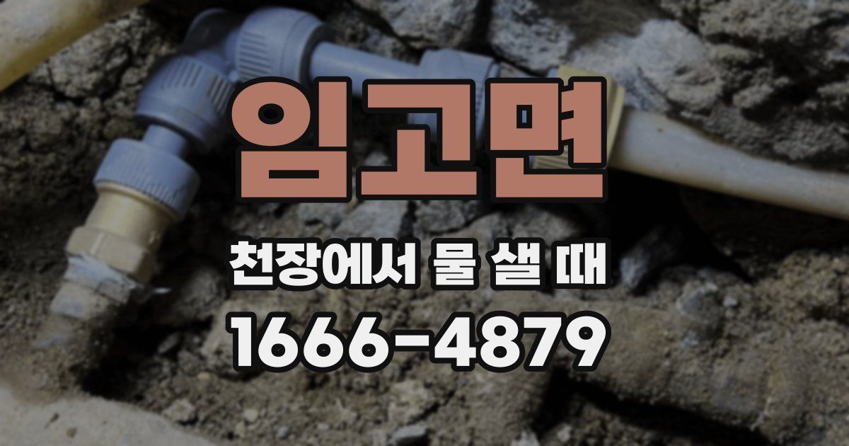 임고면 천장에서 물 샐 때